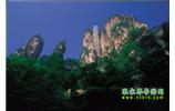 網(wǎng)絡(luò)熱門純玩游：張家界、天子山、袁家界、楊家界 自助三日游