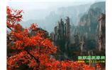 春節(jié)期間：張家界、天子山、金鞭溪自駕車精華精品游