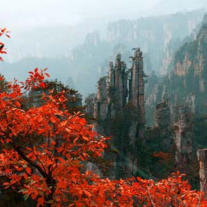 休閑自駕E線：張家界、袁家界、天子山、寶峰湖、鳳凰古城、沱江泛舟四晚五日游