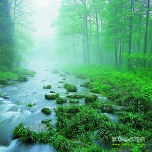 【純玩散拼尊享系列3】張家界、天子山、袁家界、黃龍洞、鳳凰三晚四日游