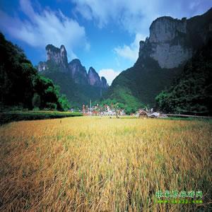 張家界往返純玩散拼：矮寨大橋、德夯苗寨、鳳凰古城、芙蓉鎮(zhèn)二日游